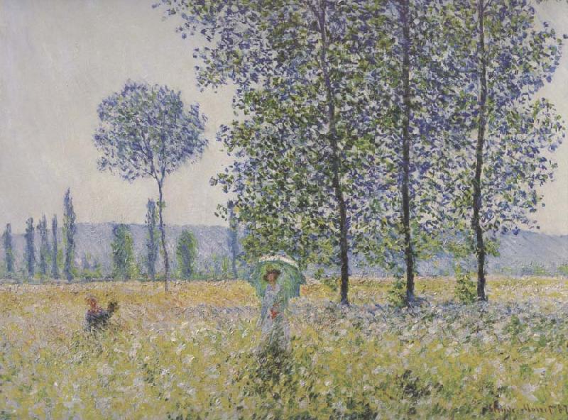 Claude Monet Fields in Spring oil painting picture